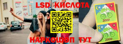 крисы Чебаркуль
